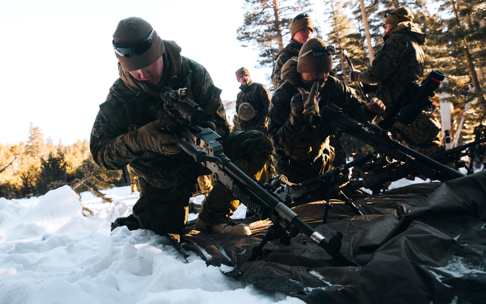 DVIDS Images 3/3 Marines Conduct MTX 222 Machine Gun LiveFire