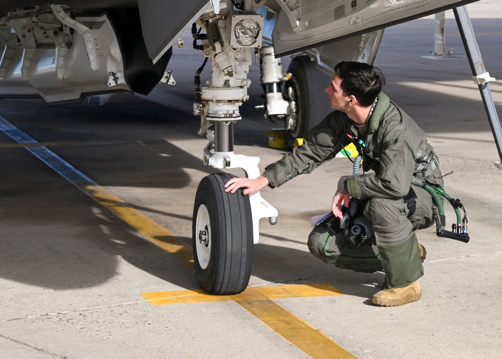Gossner brothers take flight over Luke AFB