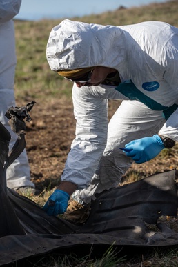 Marines, FBI train to investigate VBIED blasts