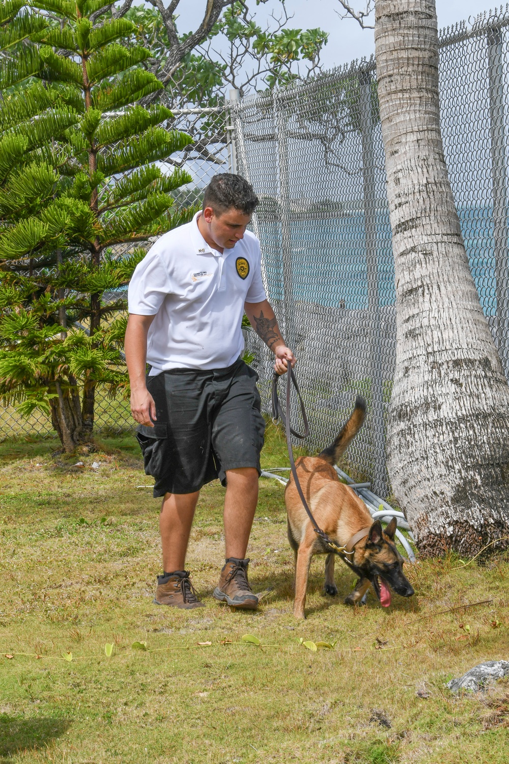 U.S. Army Garrison-Kwajalein Atoll Welcomes New Military Working Dogs