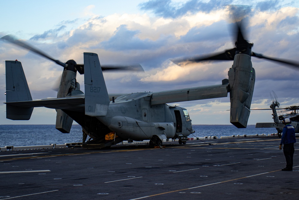 DVIDS - Images - 31st MEU: TRAP Flies Aboard America [Image 8 of 10]