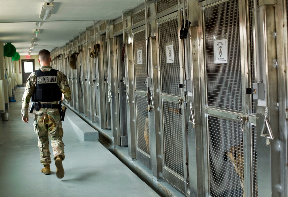 Fort Bragg Patrol: Narcotics military working dog teams are on the case