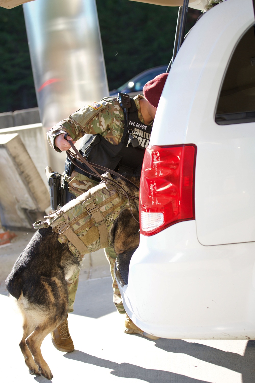 Fort Bragg Patrol: Narcotics military working dog teams are on the case