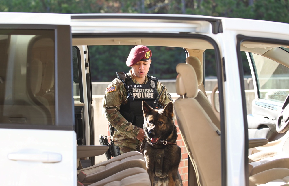 Fort Bragg Patrol: Narcotics military working dog teams are on the case