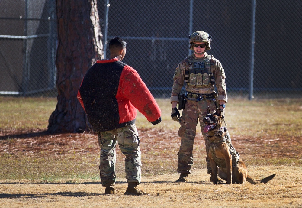 Fort Bragg Patrol: Narcotics military working dog teams are on the case