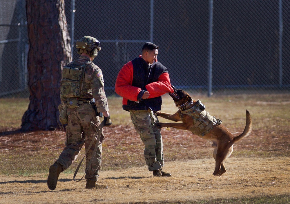 Fort Bragg Patrol: Narcotics military working dog teams are on the case