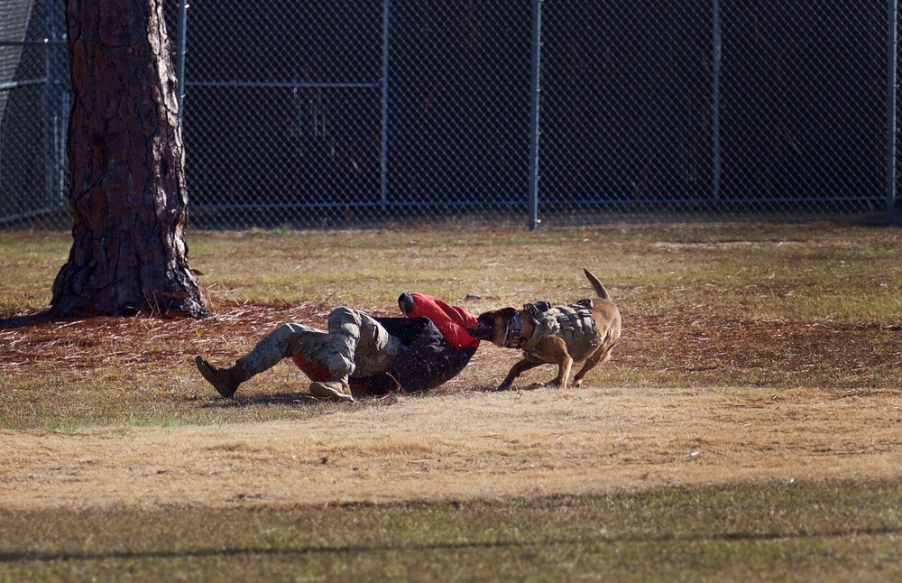 Fort Bragg Patrol: Narcotics military working dog teams are on the case