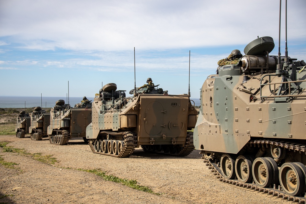 Iron Fist 2022: JGSDF soldiers conduct ground maneuver training