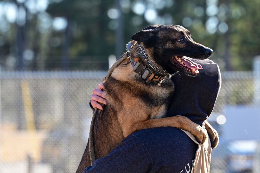 Four-legged fighters: Day in the life of Little Rock MWDs