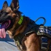 Four-legged fighters: Day in the life of Little Rock MWDs