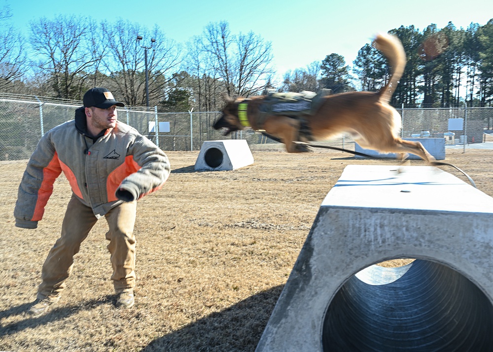 Four-legged fighters: Day in the life of Little Rock MWDs