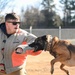 Four-legged fighters: Day in the life of Little Rock MWDs