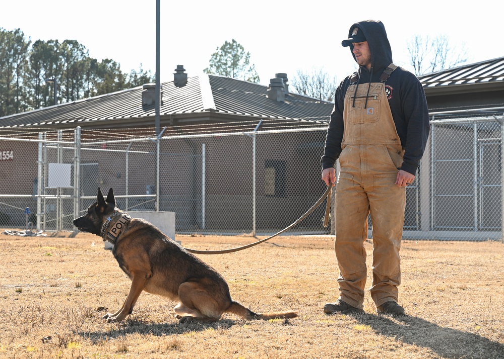 Four-legged fighters: Day in the life of Little Rock MWDs