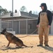 Four-legged fighters: Day in the life of Little Rock MWDs