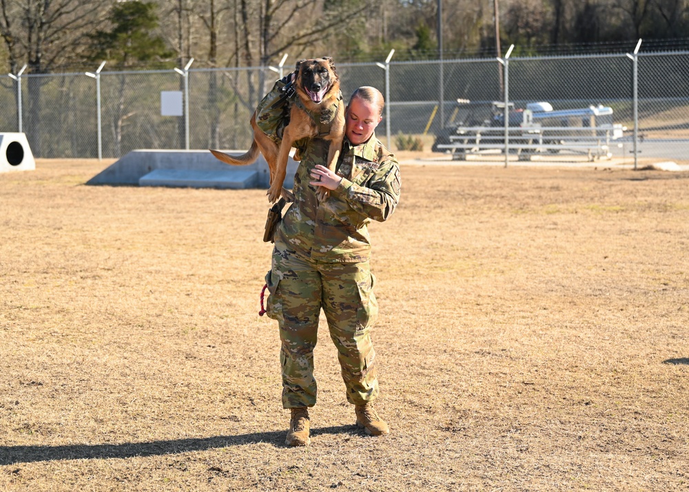 Four-legged fighters: Day in the life of Little Rock MWDs