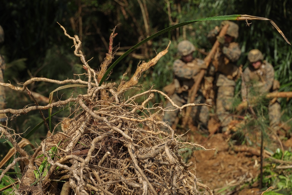 3rd LSB Battalion Field Exercise I: Marines and Sailors blaze trail through treeline