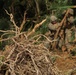 3rd LSB Battalion Field Exercise I: Marines and Sailors blaze trail through treeline
