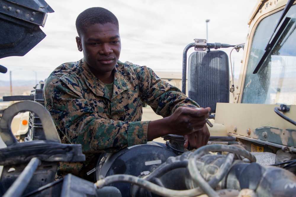 II MIG's Marine of the Quarter