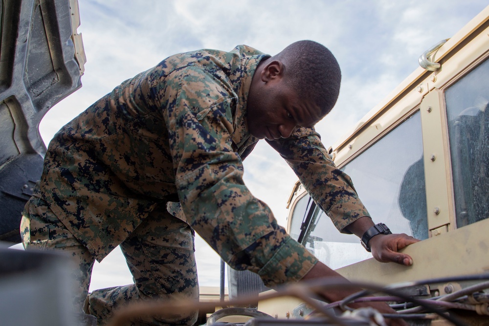 II MIG's Marine of the Quarter