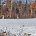 Snowshoeing among critical skills practiced, learned by students in CWOC at Fort McCoy