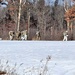 Snowshoeing among critical skills practiced, learned by students in CWOC at Fort McCoy