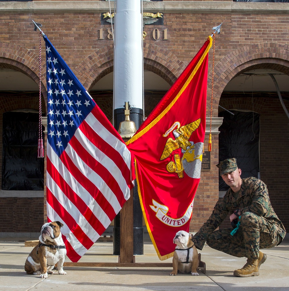 Marine Barracks Washington welcomes the new Marine Corps official mascot