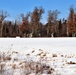 Snowshoeing among critical skills practiced, learned by students in CWOC at Fort McCoy