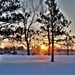 January sunrise at Fort McCoy
