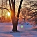 January sunrise at Fort McCoy