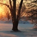 January sunrise at Fort McCoy