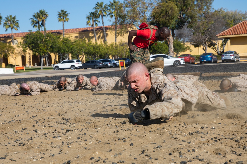 Delta Company Combat Conditioning Course
