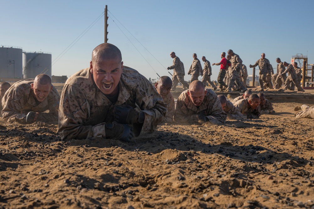 Delta Company Combat Conditioning Course