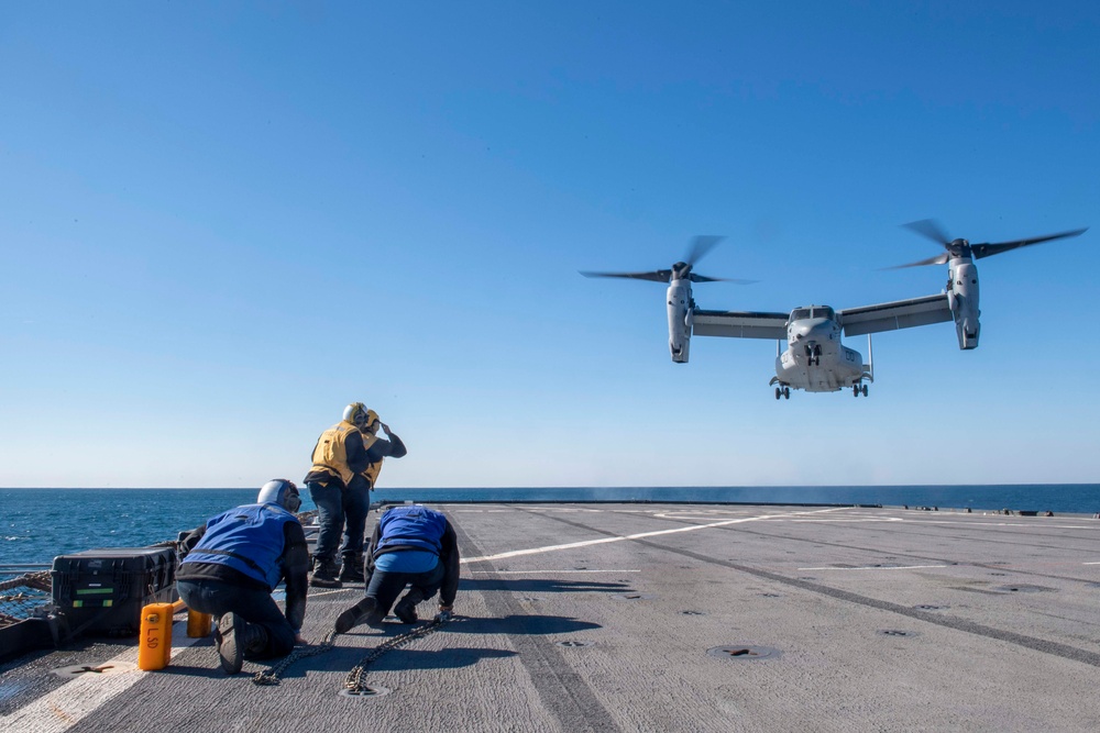 Gunston Hall: Osprey Aboard