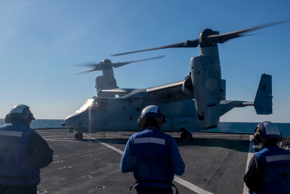 Gunston Hall: Osprey Aboard