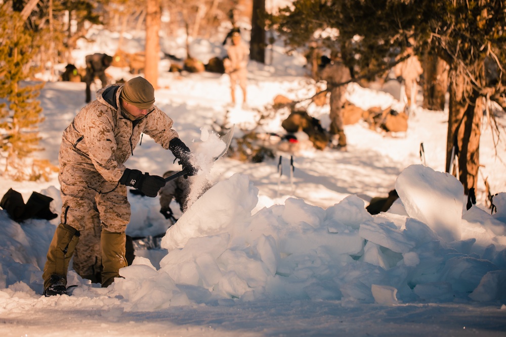 3/3 Marines Conduct MTX 2-22: Mobility