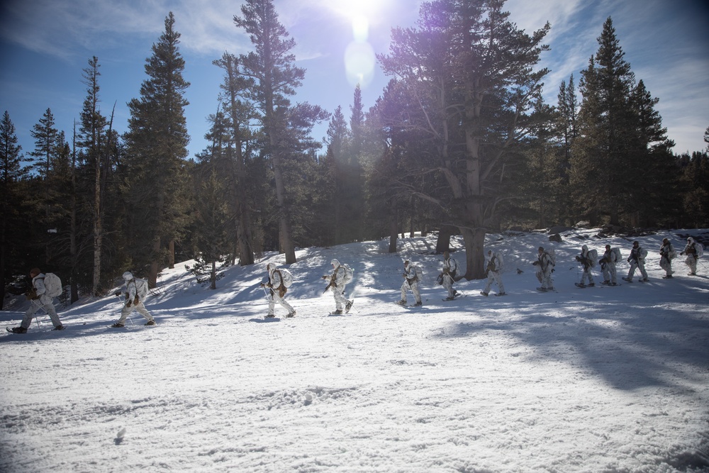 3/3 Marines Conduct MTX 2-22: Mobility