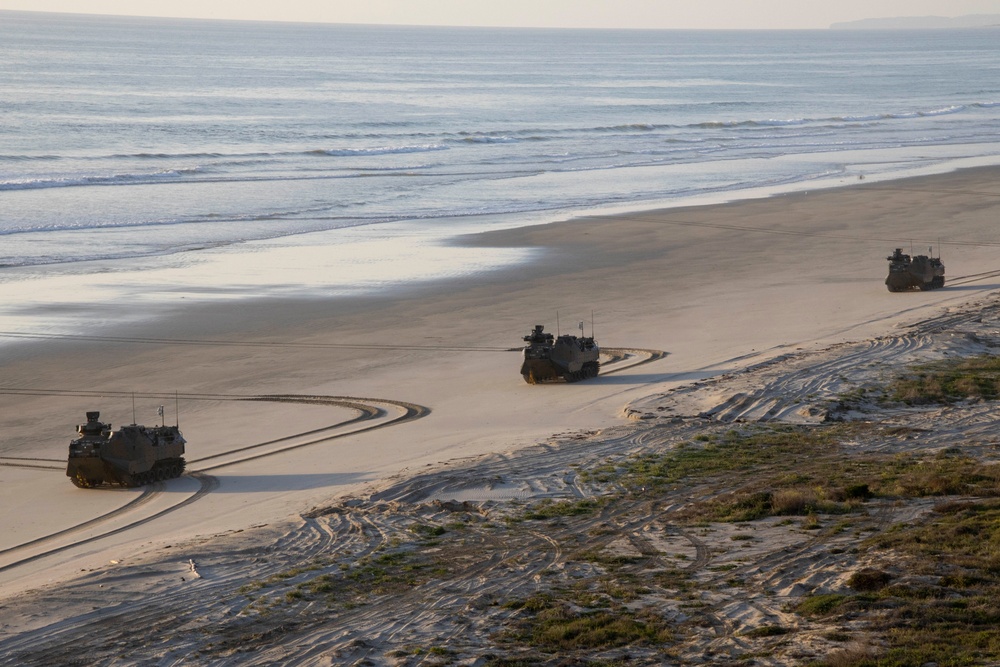 Iron Fist 2022: US Marines, Japan Ground Self-Defense Force soldiers conduct amphibious assault training