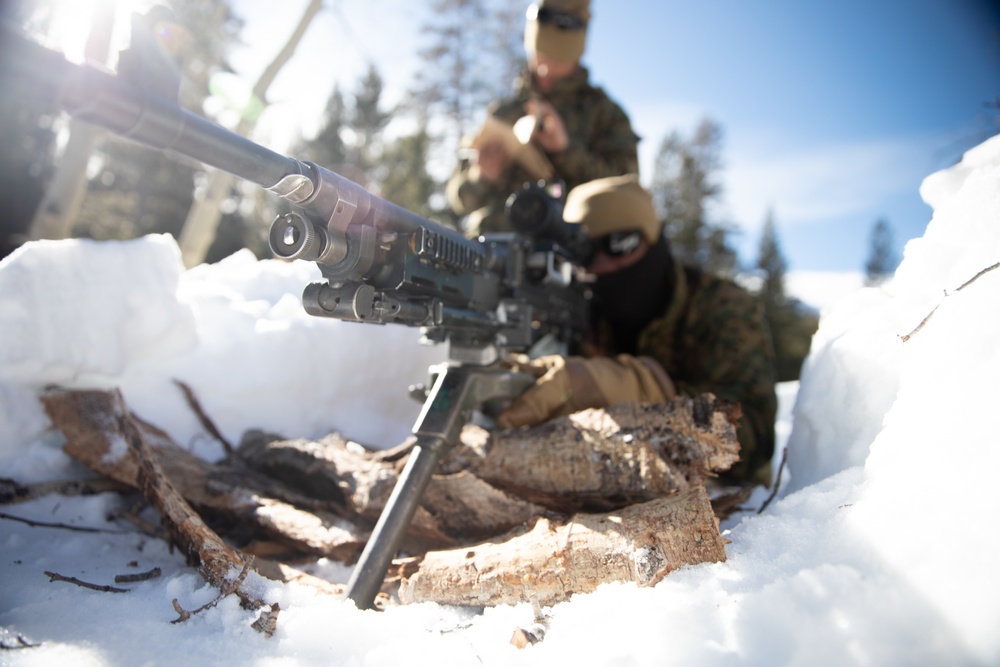 DVIDS - Images - 3/3 Marines Conduct MTX 2-22: Mobility [Image 6 of 7]