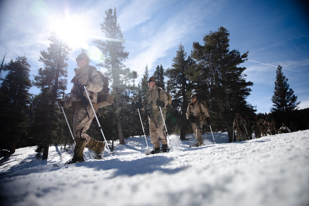 3/3 Marines Conduct MTX 2-22: Mobility