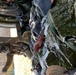 MedDet Soldiers completes 2022 recertification in midst of COVID and hospital mission training