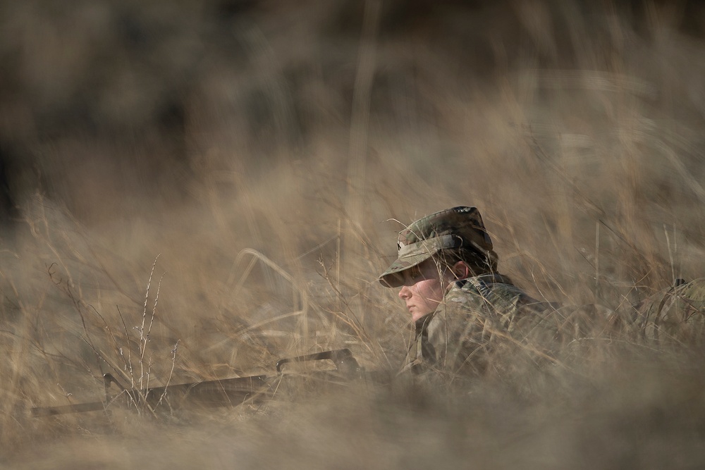 The Bronco Battalion - Field Exercise Two