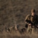 The Bronco Battalion - Field Exercise Two