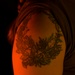 Seymour Ink Tattoo Stories