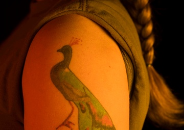 Seymour Ink tattoo stories