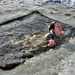 Airmen, Soldiers participate in cold-water immersion training at Fort McCoy