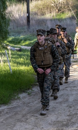 Overcoming the Language Barrier