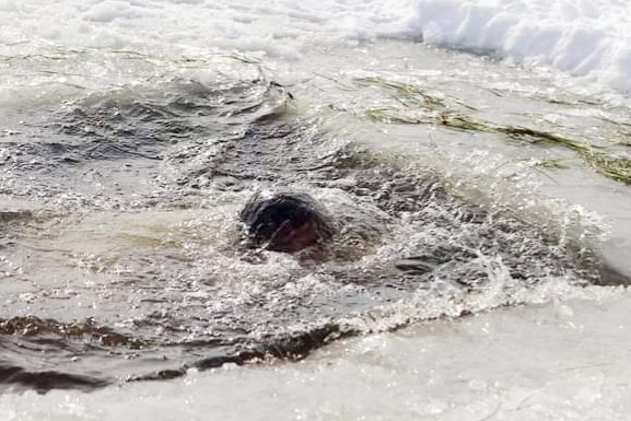 Airmen, Soldiers participate in cold-water immersion training at Fort McCoy