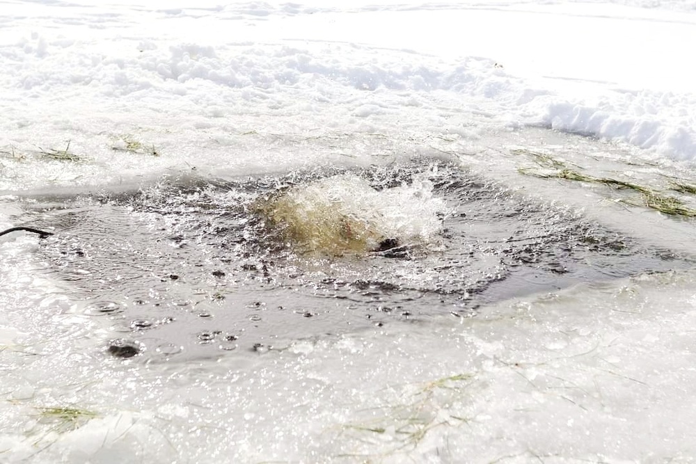 Airmen, Soldiers participate in cold-water immersion training at Fort McCoy