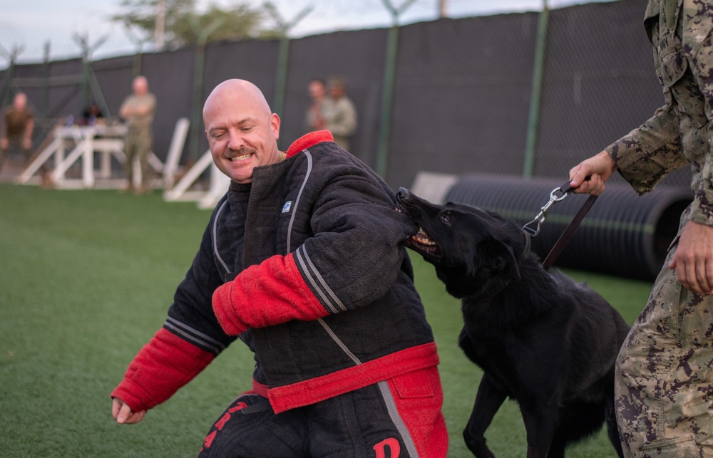 Military Working Dog Training on Camp Lemonnier