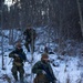 1/2 Bravo Company Mountain Training
